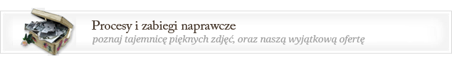procesy i zabiegi naprawcze